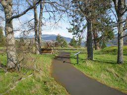 If you want to extend your visit, head over to the south side of the road to hike the short catherine creek universal access trail. Columbia River Gorge National Scenic Area Catherine Creek Recreation Area