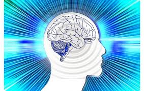 Proteos Releases New Mouse Alpha Synuclein Reagent Proteos Enter pollan, who at 25 was asked to play. proteos releases new mouse alpha