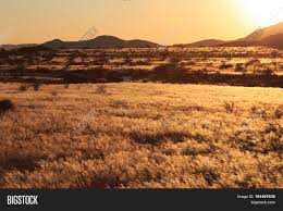 Download high quality african savanna clip art from our collection of 41,940,205 clip art graphics. African Savanna Image Photo Free Trial Bigstock