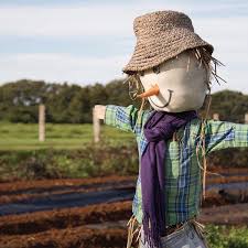 Instagram Photo By Thefarmatbyronbay May 19 2016 At 11 14pm Utc Scarecrow Instagram Posts Photo