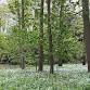 LincWoods Free Tree Pack Giveaway at Boothby... event in Grantham