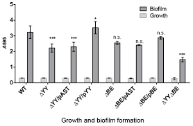 In line with the evolving demands, we are expanding our wings to integrate geospatial solution with the information and communication. Toxins Free Full Text The Streptococcus Pneumoniae Yefm Yoeb And Relbe Toxin Antitoxin Operons Participate In Oxidative Stress And Biofilm Formation Html