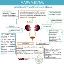 Pielonefrite é uma doença inflamatória infecciosa causada por bactérias que atingem o parênquima renal e o bacinete, a porção do rim dilatada em forma de funil. Resumo Infeccao Urinaria Em Idosos Ligas Sanar Medicina