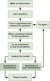 1 2 The Process Of Science Concepts Of Biology 1st