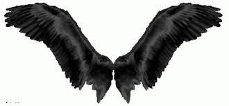 Wings Black Wings Gif Wings Blackwings Fly Discover Share Gifs Angel Wings Gif Fly Gif Gif