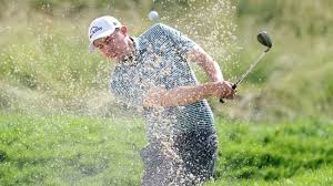 Image result for Handic 15