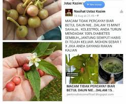 Klik sini untuk order www.wasap.my/60162256183/ubatkencingmanisyt set ini. Daun Ceri Ajaib Sukar Dipercayai