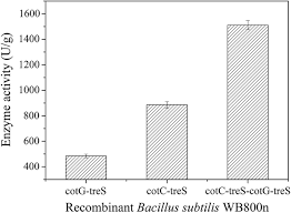 What does cotc stand for? Production Of Trehalose With Trehalose Synthase Expressed And Displayed On The Surface Of Bacillus Subtilis Spores Microbial Cell Factories Full Text