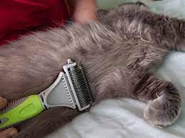 I purchased my furminator over 7 years ago, use it weekly and have not had to replace it. Best Pet Dematting Comb Tool Great To Brush Medium And Long Hair Dogs And Cats Pricepulse
