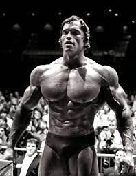 We are the world's largest online store with over 180,000 designer fabrics and wallpapers. Arnold Schwarzenegger Iphone Wallpapers Top Free Arnold Schwarzenegger Iphone Backgrounds Wallpaperaccess