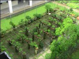 Yg mau nitip foto dm saja bisa req mau disensor atau engga | twuko. Contoh Taman Sekolah Adiwiyata Nusagates