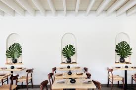 Image result for Cola pierlotii