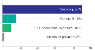 Common causes of lung cancer include smoking, radon, pollution, chemical exposure, and more. Causes Of Lung Cancer