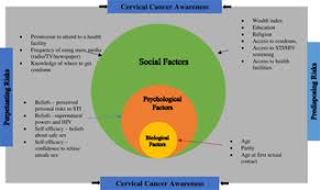 Epidemiology, risk factors, and protective factors. Plos One Biopsychosocial Risk Factors And Knowledge Of Cervical Cancer Among Young Women A Case Study From Kenya To Inform Hpv Prevention In Sub Saharan Africa