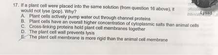 Control direction and speed of growth; 17 If A Plant Cell Were Placed Into The Same Chegg Com