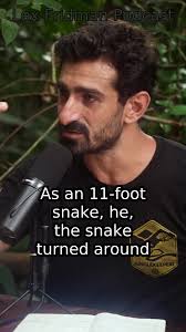 Snakes are beautiful