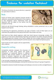 Why would we want to. Evidence For Evolution Factsheet Pdf Free Download