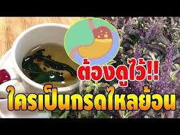น ำต มใบกะเพรา ด มช วยร กษากรดไหลย อน ท องอ ด แน นท อง อาหารไม ย อย อย างได ผล เพ ยงด มตามส ตรน youtube อาหารอร อย