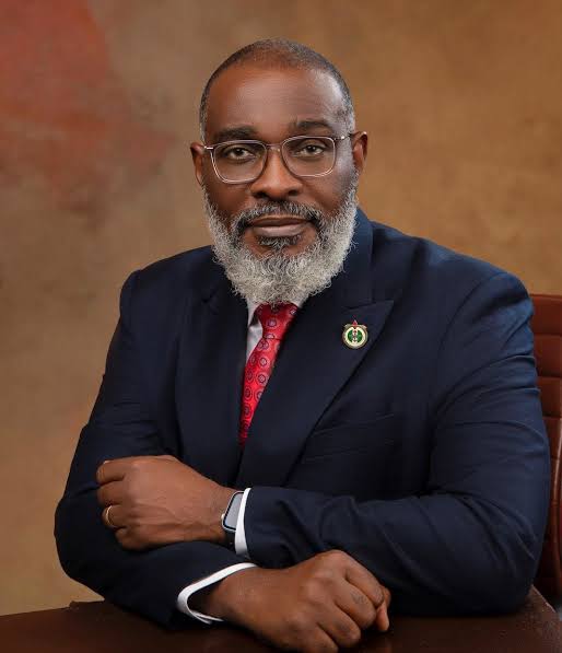 President Tinubu appoints Maj. Gen. Adeyinka Famadewa as Special Adviser on Homeland Security - NALTF