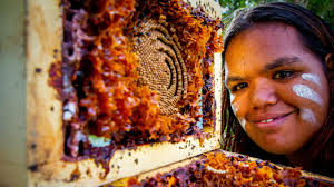 Honey: North Stradbroke Island bees a Star boon for local jobs