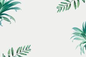 Your current background is removed, and the background of the slide is now white. Download Premium Illustration Of Hand Drawn Tropical Leaves On A White Palm Tree Background Powerpoint Background Design Tropical Leaves