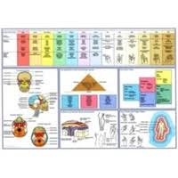 cranial kinesiology chart