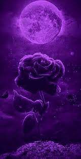 Pin By Geraldine Hinojos On My Saves Black And Purple Wallpaper Purple Flowers Wallpaper Dark Purple Wallpaper