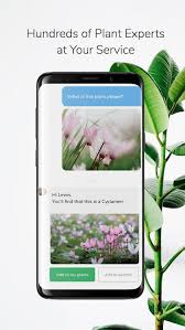 You can let them help you plan your watering schedule as well as your actual planting and weeding schedule. The Best Gardening Apps For 2021 Digital Trends