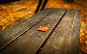 صور خلفيات أوراق الشجر جميلة عالية الدقة Fall Wallpaper Wallpaper Beach Wallpaper