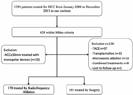 Flow Chart Summarising Patient Selection For The Study Hcc