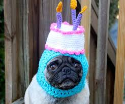 Image result for silly hat
