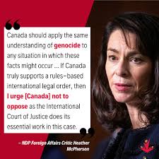 Fiji Endorses Israel's Occupation of Gaza, Sparking International Debate