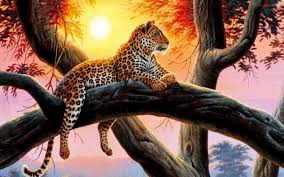 You can also upload and share your favorite 1080p hd 4k black amoled pc wallpapers. Full Screen 1080p Hd Wallpaper For Pc 768x480 Download Hd Wallpaper Wallpapertip