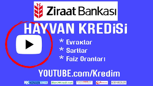 Ziraat Bankasi Hayvan Kredisi Basvuru Sartlari Kredi Faiz Hesaplamasi Youtube