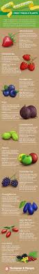 While there is not an abundance of fruit trees that will grow in wet soils, there are some. Top 10 Easy To Grow Fruit Trees Plants Thompson Morgan