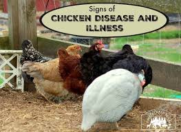 A few things not to worry about: 5xfonrbjbdg63m