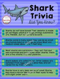 Have fun making trivia questions about swimming and swimmers. An Essay About Sharks Film Analysis Fundacionhenrydunant Org