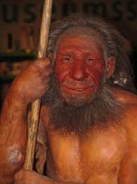A view from darwinian medicine 35 Homo Neanderthalensis The History Of Our Tribe Hominini
