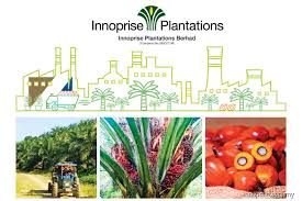Bhd (icsb), an investment arm of yayasan sabah (sabah foundation). Tan Aik Kiong Takes Helm At Innoprise Plantations From Brother The Edge Markets