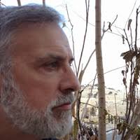 PDF) Rapid growth of human cancer cells in a mouse model with fibrin clot  subrenal capsule assay