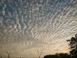 Mammatus clouds are sometimes described as looking like a field of tennis balls or melons, or like female human breasts. Cirrocumulus Clouds At Sunset In Trichy India Imgur