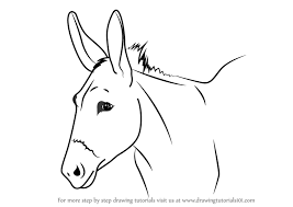 Learn How To Draw A Donkey Face Animal Faces Step By Step Drawing Tutorials Donkey Drawing Drawings Diy Art Painting