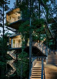 Almost any mature tree can be used for a treehouse and it doesn't have to be expensive, you just need some good ideas and the motivation to make it. Sustainability Treehouse Mithun Archello