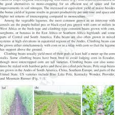 Pdf Role Of Legumes For And As Horticultural Crops In Sustainable Agriculture
