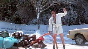 Maybe you would like to learn more about one of these? Can You Identify Each Of These Scenes From National Lampoon S Christmas Vacation Most People Can T Howstuffworks