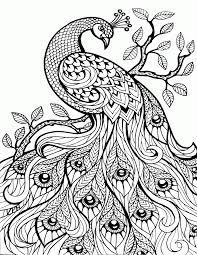 103 printable animal coloring pages for adults for free. Detailed Animal Coloring Pages For Adults Coloring Home