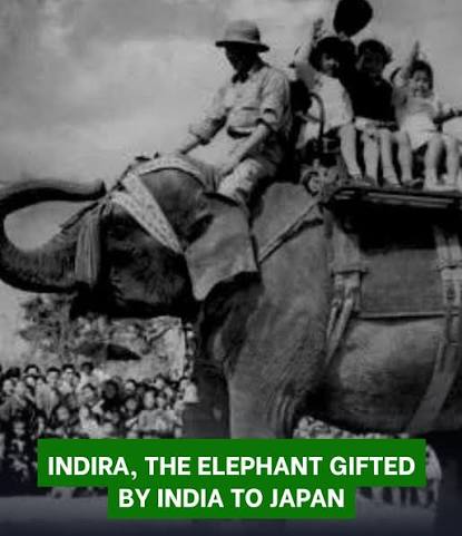 The images of dwarfish beings inhabit ancient Indian temples in great abundance. One has only to look carefully to start noticing them everywhere: in mythological scenes and decorative friezes, in prabhaman-dala around