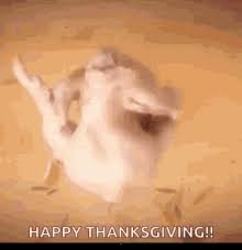 This is because images are attractive and easy to send. Turkey Dance Gifs Tenor