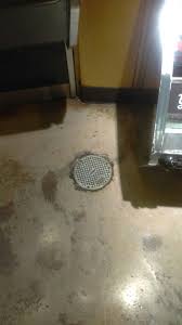 Floor Drain Clean Out Flooring Floor Drains Drain Cleaner