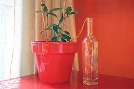 How To Water Plants While On Vacation Plant Watering System Water Plants Plants
